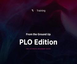 Run It Once From The Ground Up PLO